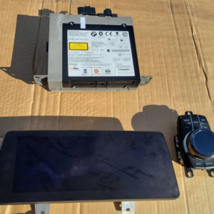 oem-nbt-evo-navigation-professional